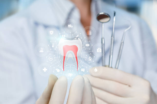 Best Dental X-Rays and Imaging  in Wheeling, WV